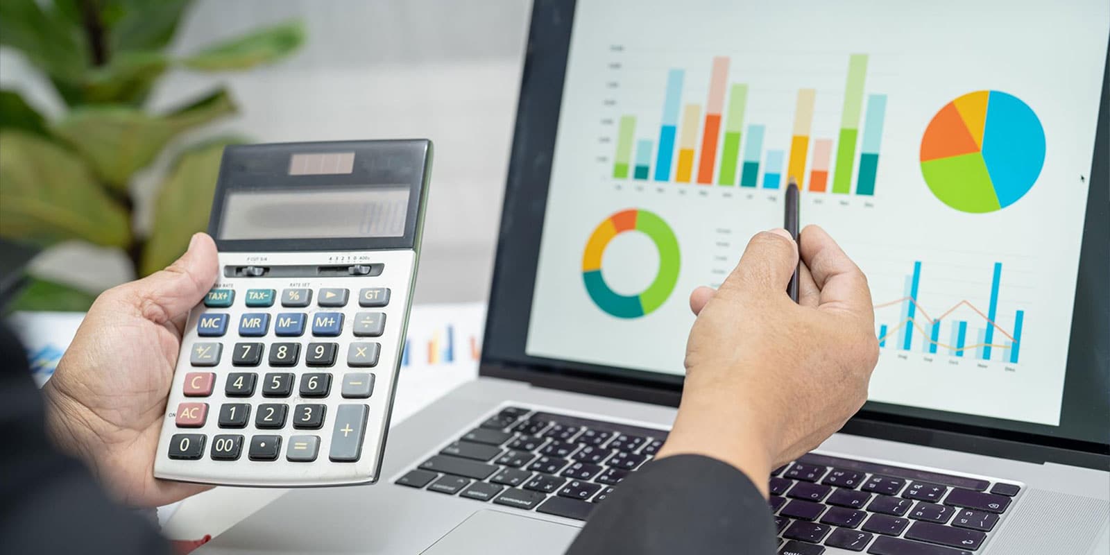 accounting software for your business